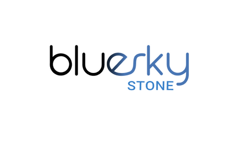 B2B Shopify Stores