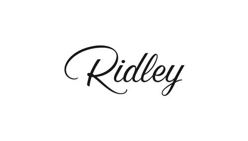 Fashion Shopify Clients